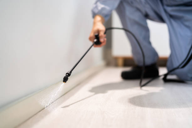 Licensed Termite Control service in Candor, NC - Nex Pest Control