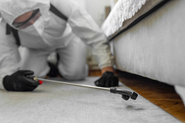 Professional Termite Control technician working in Candor, NC