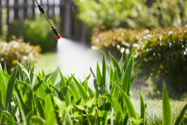 24/7 Emergency Termite Control experts in Candor, NC