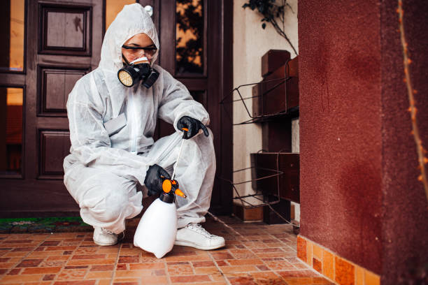 Reliable Termite Control contractor in Candor, NC by Nex Pest Control