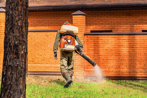 Top rated local Termite Control specialists in Candor, NC
